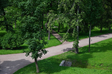 Path through the landscaped park in summer