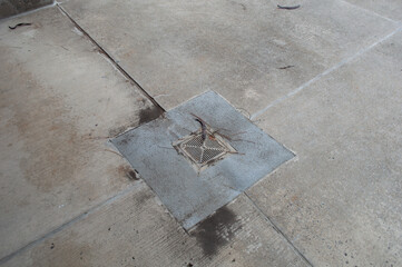 Close up detail of a rusty metal anchor hook embedded in a square patch of concrete pavement on the ground