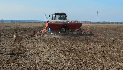 Fototapeta premium Farmer uses tractor to plant seeds in a freshly plowed field during early spring