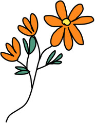 Single Orange Wild Field Flower Isolated Element