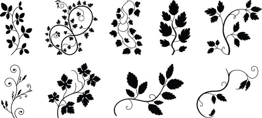 Ornate Vine and Foliage Silhouette Set, Decorative Floral Swirls and Branches for Elegant Wedding and Stationery Border Design Vector