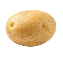 A single potato with rough, speckled skin isolated on a transparent background, suitable for agricultural education, rustic recipe visuals, and natural food studies.
