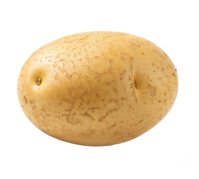 A single potato with rough, speckled skin isolated on a transparent background, suitable for agricultural education, rustic recipe visuals, and natural food studies.