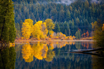 A Colorful Autumn Forest Reflected in Toketee Lake Waters