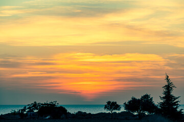 Silhouetted Trees Against Blue-Orange Sunset Sky Over the Sea