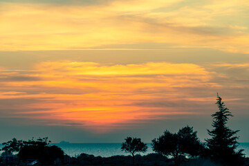 Silhouetted Trees Against Blue-Orange Sunset Sky Over the Sea