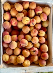 Peaches