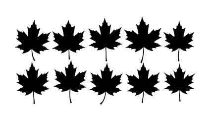 Vector illustration&nbsp;of ten black maple leaf silhouettes arranged in two rows, isolated on transparent background