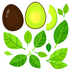 Avocado and Green Leaves Collection