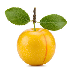 Ripe Yellow Plum with Green Leaves on White Background