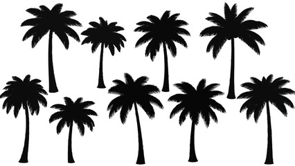 Fototapeta premium Vector illustration&nbsp;of collection of eight black silhouette palm tree icons isolated on transparent background for tropical design