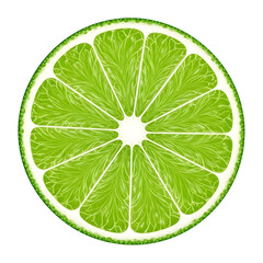 Vibrant Lime Slice Illustration