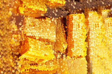 close up of honey, honey background, sweet honey, texture