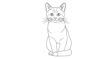 Obraz premium A black and white outline drawing of a cat sitting upright and staring straight ahead with whiskers and pointed ears.