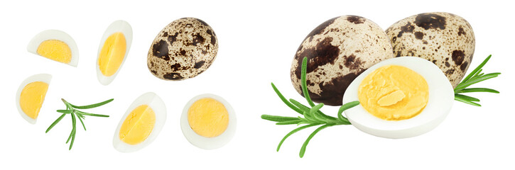 boiled quail egg isolated on white background with full depth of field. Top view. Flat lay