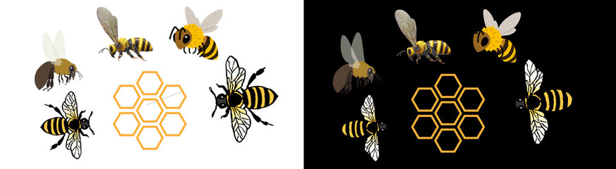 PNG image of Honeybees and honeycomb illustration showcasing bee pollination and honey production in a natural environment with detailed wings and striped bodies on transparent background