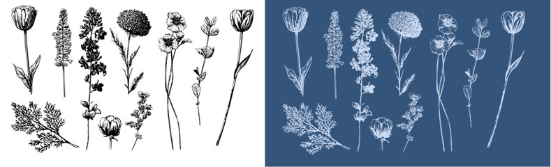 Delicate black and white vector wildflowers in sketch style, wildflowers for digital design, cards, posters, floral decor and elegant wedding stationery.