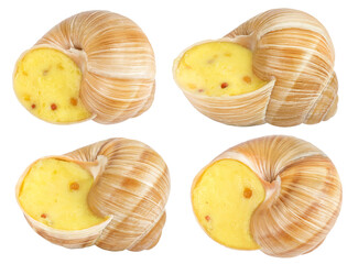 Dijon escargot snail filled with butter, garlic, Dijon mustard and cheese isolated on white background. Top view