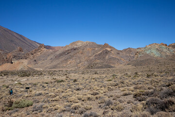 Nature of Teide National Park, Tenerife, Spain