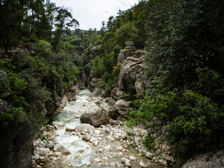Mountain river flowing through a rocky canyon surrounded by dense green forest and natural cliffs.