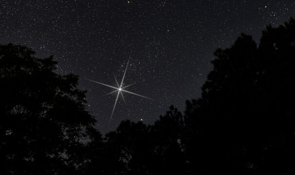 Christmas star rising above the trees