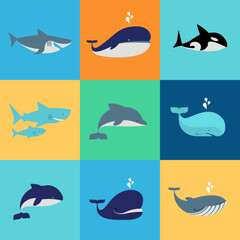 Vector Set of Whale, Dolphin, and Shark Icons