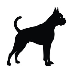 Boxer dog silhouette isolated on white, profile view, standing pose graphic Vector, illustration