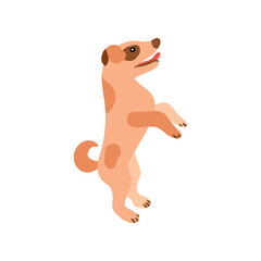 Fototapeta premium Funny little brown dog standing on two legs. A simple hand drawn vector illustration for New Years and Christmas cards, banners and invitations.