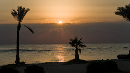 Sunrise over the Red Sea shoreline in an Egyptian hotel resort, casting warm light across the calm coastal scenery.