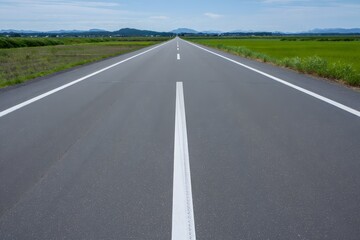 Fototapeta premium Straight Road Through Green Fields and Distant Mountains