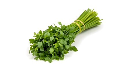 Fresh green asparagus, Bunch of fresh green asparagus