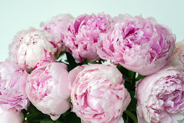 Obraz premium Soft pink peonies in a glass vase