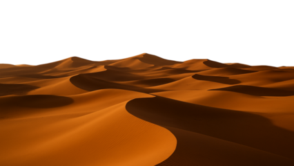 sand dunes in the desert  isolated