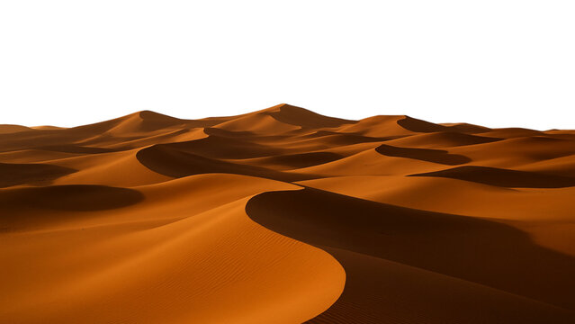 sand dunes in the desert isolated