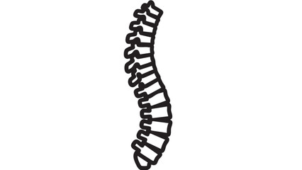 Spine Illustration A Detailed Black and White Depiction of the Human Spinal Column