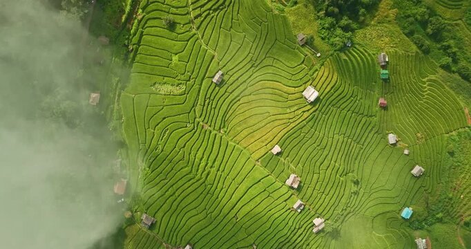 Aerial view of winding rice terraces stretch across the rolling hills, bordered by jungle and forest in Chiangmai. This stunning aerial scene showcases the balance of human care and natural splendor