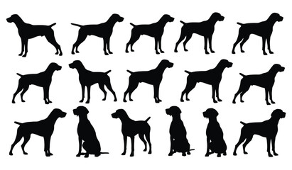 German shorthaired pointer dog silhouettes in various poses for design Vector