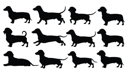 Black dachshund dog silhouettes in various poses and positions Vector