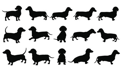 Dachshund dog silhouettes in various poses, vector illustration design Vector