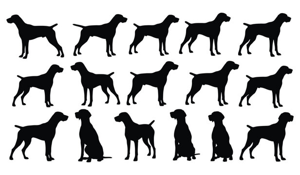 German shorthaired pointer dog silhouettes in various poses for design Vector