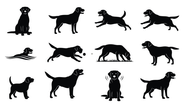 Active labrador retriever dog silhouettes: running, swimming, playing. Vector