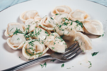 homemade dumplings, on a plate, with herbs on a rustic table