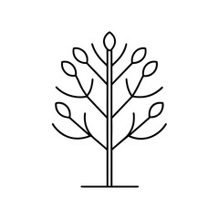 Simple minimalist tree with leaves outline drawing on transparent background