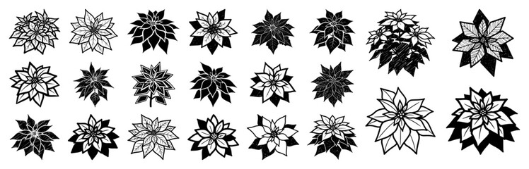 Christmas poinsettia flower vector set featuring hand drawn holiday floral elements and winter plant blooms