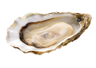 Open Oyster Shell PNG &ndash; Realistic Pearlescent Seafood Shell on Transparent Background