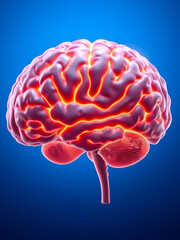 Detailed human brain anatomy illuminated against a vibrant blue background