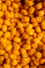 sea ​​​​buckthorn