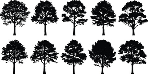Collection of detailed tree silhouettes featuring various forest trees, natural foliage shapes, botanical outlines, woodland vegetation and landscape elements for design