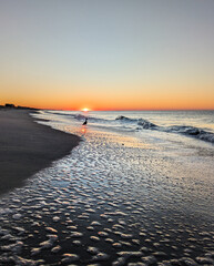 A bird silhouetted by the sunrise on Oak Island North Carolina