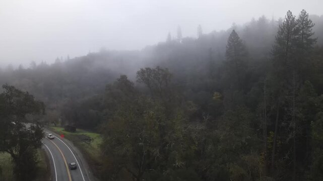 4K aerial drone footage of California&rsquo;s majestic evergreen forests shrouded in dense wildfire smoke and coastal fog.